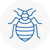 Bed Bug Extermination In Bury